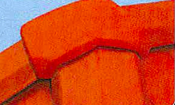 杰出的外觀(guān)穩(wěn)定性